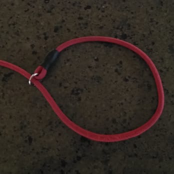 PetSmart - The leash we were not allowed to use because it could "choke her", when really its just a simple slip on leash/collar combo - Pet Groomers Near Me - Plano, Texas PetSmart - The leash we were not allowed to use because it could "choke her", when really its just a simple slip on leash/collar combo - Pet Groomers Near Me - Plano, Texas