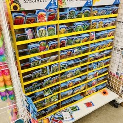 Dollar Tree - Dollar Tree, New Smyrna Beach, FL