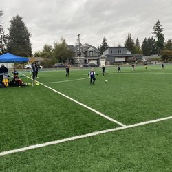 Bellevue United FC - Newport Heights Elementary