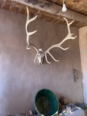 The O'Keeffe: Welcome Center by null