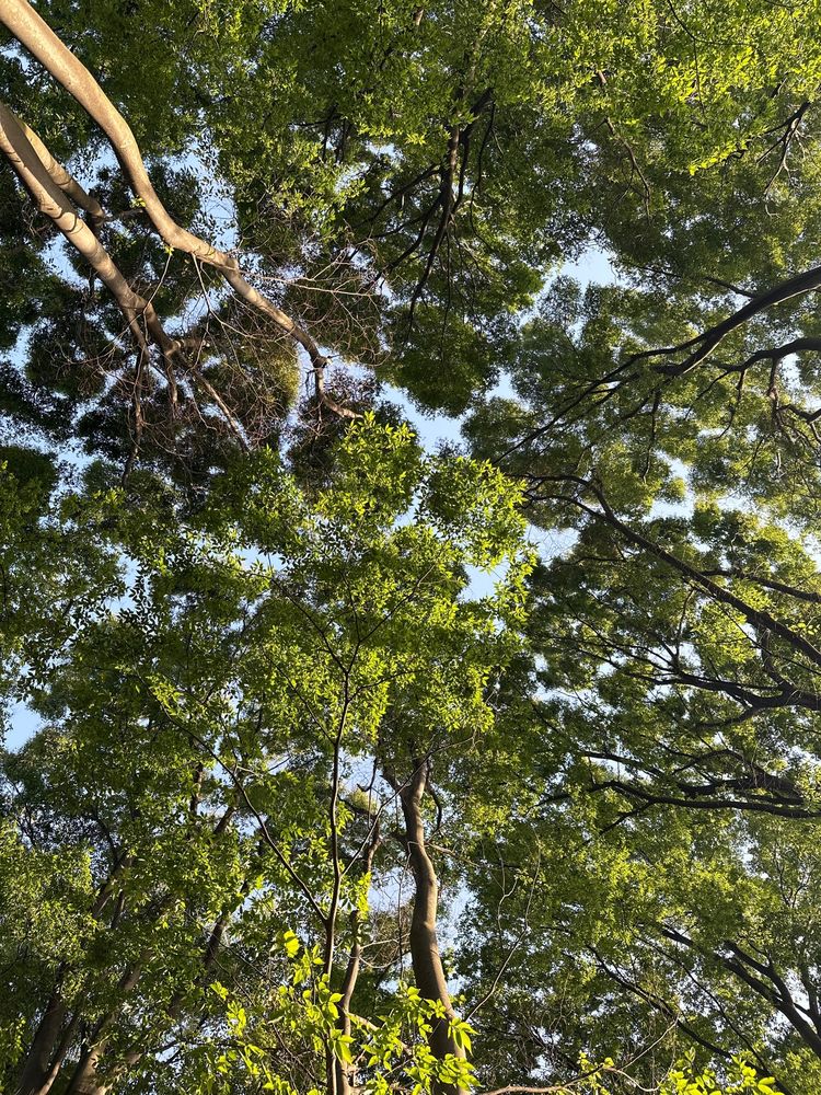 Higashitakane Forest Park