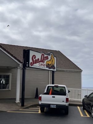 Sea Lion Caves by null