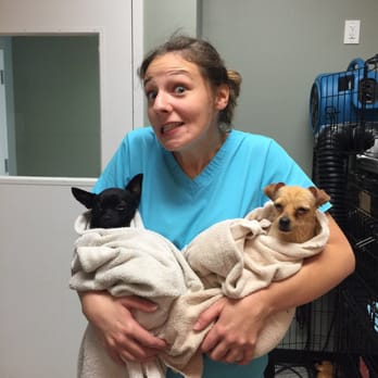 TCH Mobile Grooming & Spa - Pet Sitting Near Me - Ellabell, Georgia TCH Mobile Grooming & Spa - Pet Sitting Near Me - Ellabell, Georgia