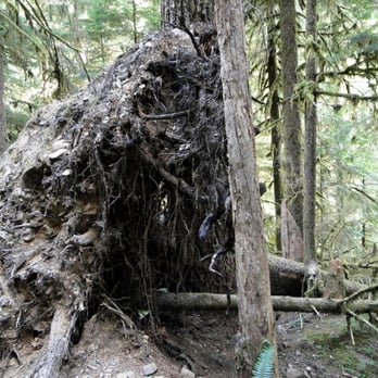 Camp Hayden - sol duc trail - Campgrounds Near Me