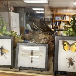 Tucker Wildlife Sanctuary - Nature Center ENC