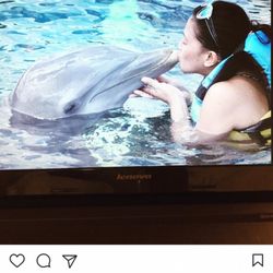 Casablanca Express - Awww this is priceless... beautiful creature. Cozumel Mexico