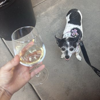 Wiens Cellars - The Amour De L'Orange sparkling! So good! - Wine Tasting Room Near Me - Temecula, California Wiens Cellars - The Amour De L'Orange sparkling! So good! - Wine Tasting Room Near Me - Temecula, California