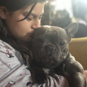 Sunset Cliffs Animal Hospital - Gypsy and I - 2018 - Veterinarians Near Me - San Diego, California Sunset Cliffs Animal Hospital - Gypsy and I - 2018 - Veterinarians Near Me - San Diego, California