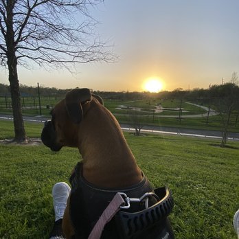Westwillow Park - Dog Parks Near Me - Houston, Texas