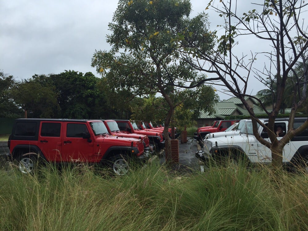 ISLAND CAR RENTAL Updated October 2024 22 Reviews Road 200 Km 3