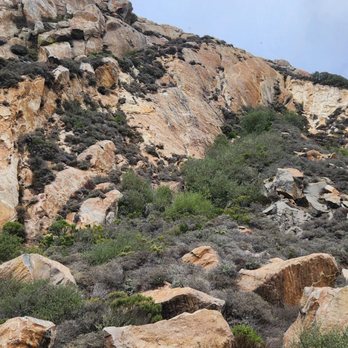 Morro Bay Rock - Beaches Near Me - Morro Bay, California