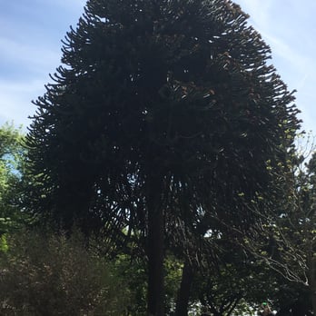 Glasgow Botanic Gardens - Parks Near Me - Glasgow, GLG
