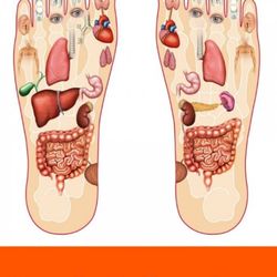 Terrain Nails & Boutique - Simple Foot Reflexology