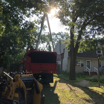 Master Tree Services - Tree Services Near Me
