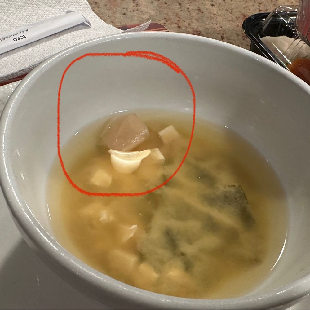 Toro Restaurant - Dirty band-aid in miso soup. - Asian Fusion Near Me - Newtown, Connecticut Toro Restaurant - Dirty band-aid in miso soup. - Asian Fusion Near Me - Newtown, Connecticut