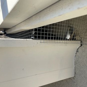 Ruffled Feathers Bird Control - Pest Control Near Me - Sacramento, California