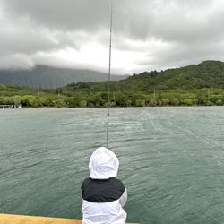 Heeia Kea Small Boat Harbor - The tourist boats are finally gone. Just us and the fish : )