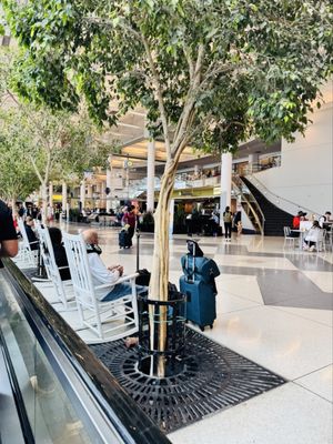 Charlotte Douglas International Airport by null