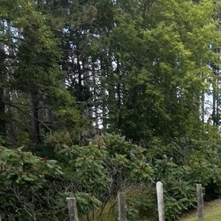 Akeley City Park & Campground - Wooded area-with "No Lifeguard" sign