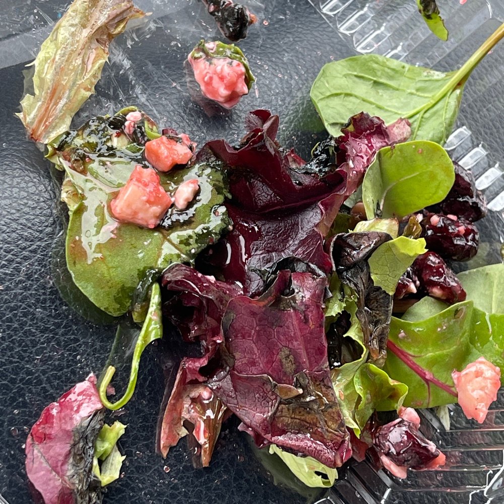 Nasty slimy rotten lettuce Nasty slimy rotten lettuce