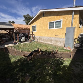 Rivas Concrete And House Remodeling - In process of building pathway and wall - Masonry/Concrete Near Me