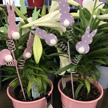 Safeway - Grocery Near Me - Honolulu, Hawaii