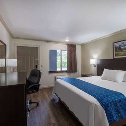 Travelodge by Wyndham Livingston - Guest room