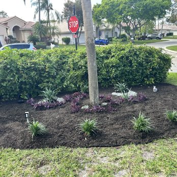 Roberto's Landscape & Maintenance - Front area - Landscaping Near Me - Richmond West, Florida