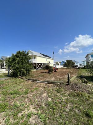 DEANS TOP NOTCH TREE SERVICE - Updated June 2026 - 13 Photos - Oak ...