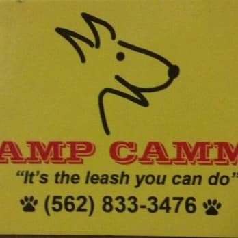 Camp Cammie - Dog Walkers Near Me - Long Beach, California Camp Cammie - Dog Walkers Near Me - Long Beach, California