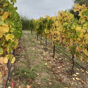 Gracianna Winery - Wine Tasting Room Near Me - Healdsburg, California
