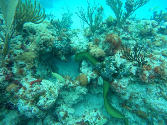 Islamorada Dive Center by null
