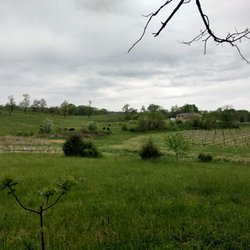 Valerie Hill Vineyard & Winery