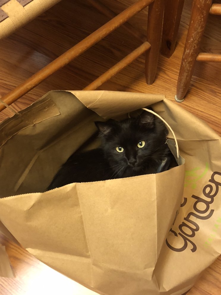 Slide of Roof-Rite Roofing