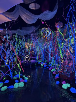 Meow Wolf Houston | Radio Tave by null