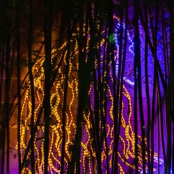 River Of Lights - River of Lights at ABQ BioPark & Botanic Garden