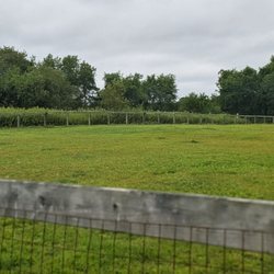 Robinson Duck Farm Dog Park