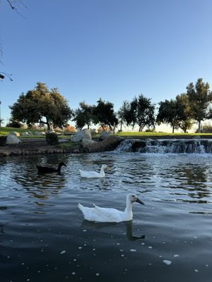 The Park at River Walk by null