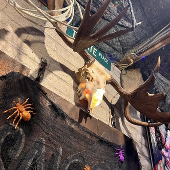 Tiny's Saloon & Steakhouse - a fake moose head with antlers - Dive Bars Near Me - Tucson, Arizona Tiny's Saloon & Steakhouse - a fake moose head with antlers - Dive Bars Near Me - Tucson, Arizona