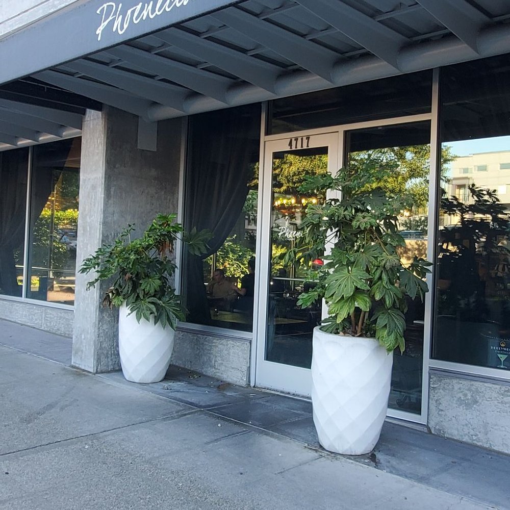 Phoenecia - Front entrance - Pizza Near Me - Seattle, Washington