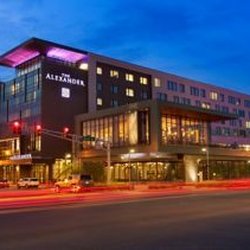 The Alexander