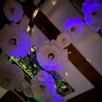 Garni Cafe - Cafes Near Me - Orlando, Florida