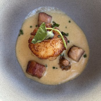 DAOU Vineyards - Scallop - Wineries Near Me - Paso Robles, California DAOU Vineyards - Scallop - Wineries Near Me - Paso Robles, California