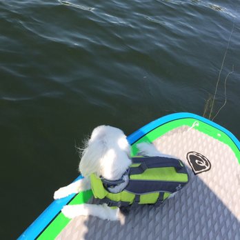 Flatwater Paddle Co. - Paddleboarding Near Me - Ringwood, New Jersey