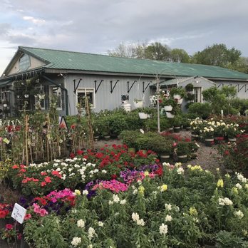 Preston’s Tree & Landscape Service - Nursery - Landscaping Near Me - Ontario, New York Preston’s Tree & Landscape Service - Nursery - Landscaping Near Me - Ontario, New York