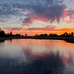 Gladding Farms - Our luxurious serene pond right here on the property!