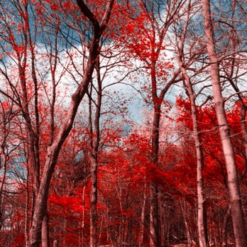 Aida Home Realty 67 Photos 21 Reviews Real Estate Agents 25 91 44th St Astoria Ny Phone Number