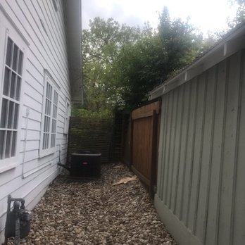 Ortiz Tree Trimming - After: no dead Chinaberry - Tree Services Near Me Ortiz Tree Trimming - After: no dead Chinaberry - Tree Services Near Me