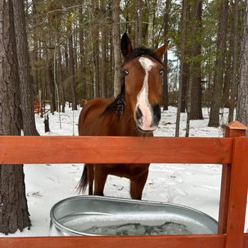 J&M Ranch - Snow last year - Horseback Riding Near Me - Cottageville, South Carolina J&M Ranch - Snow last year - Horseback Riding Near Me - Cottageville, South Carolina