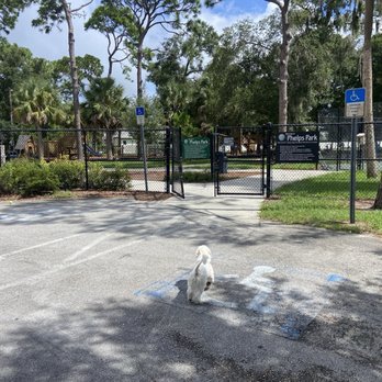 Phelps Park - Parks Near Me - Winter Park, Florida